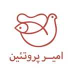 پروتئین امیر
